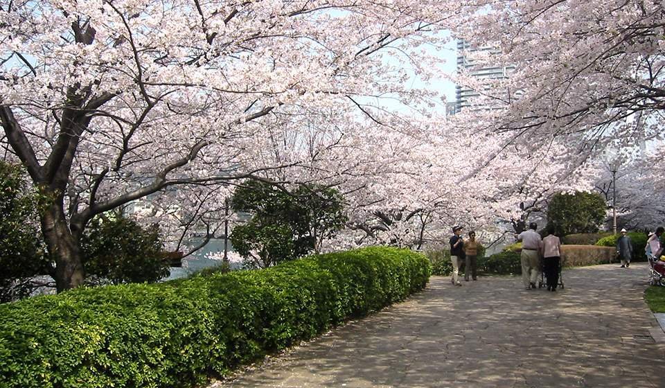 🌳 도스시 중앙공원 (도스시 주오코엔)